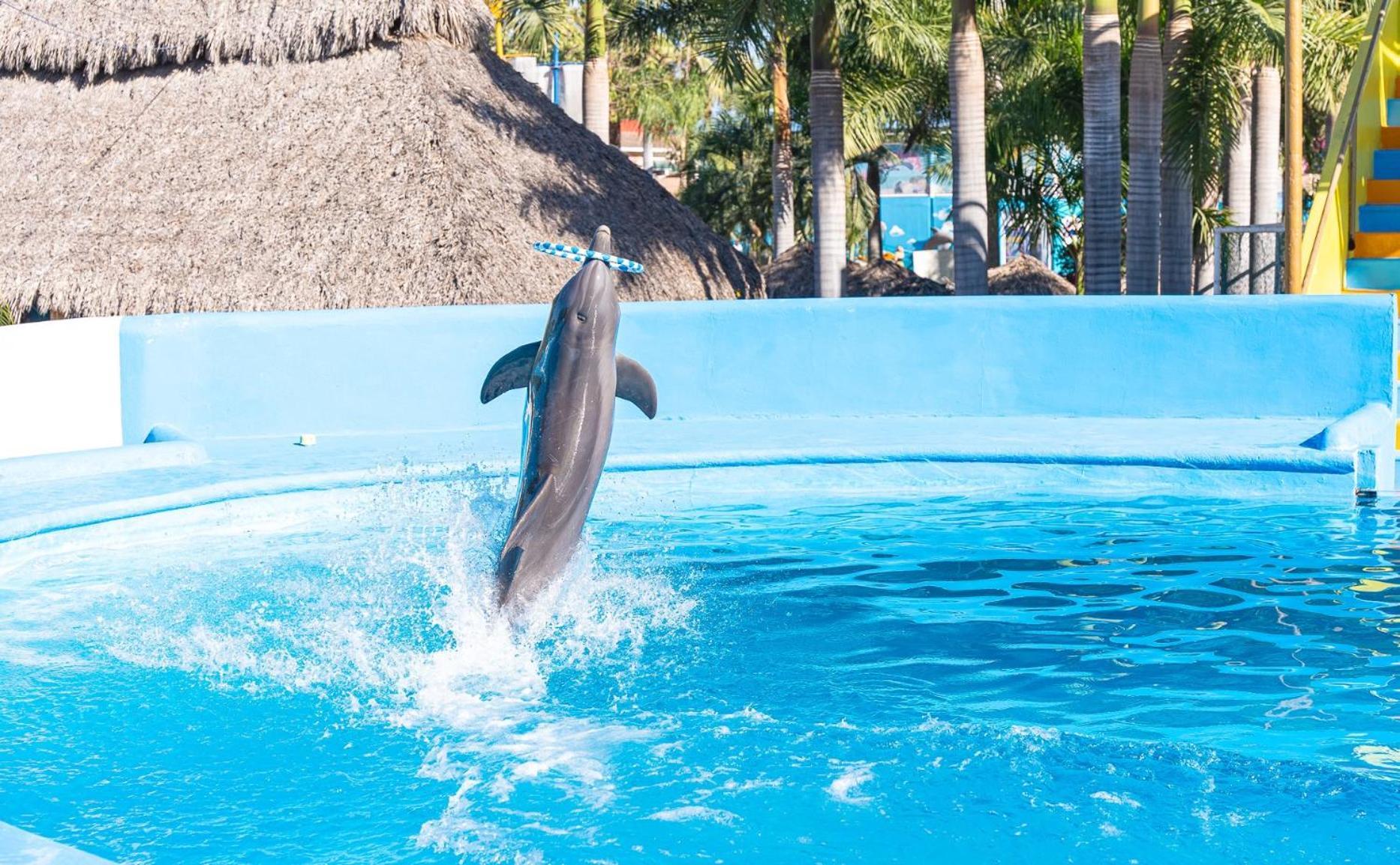 Splash Inn Nuevo Vallarta & Parque Acuatico Eksteriør bilde